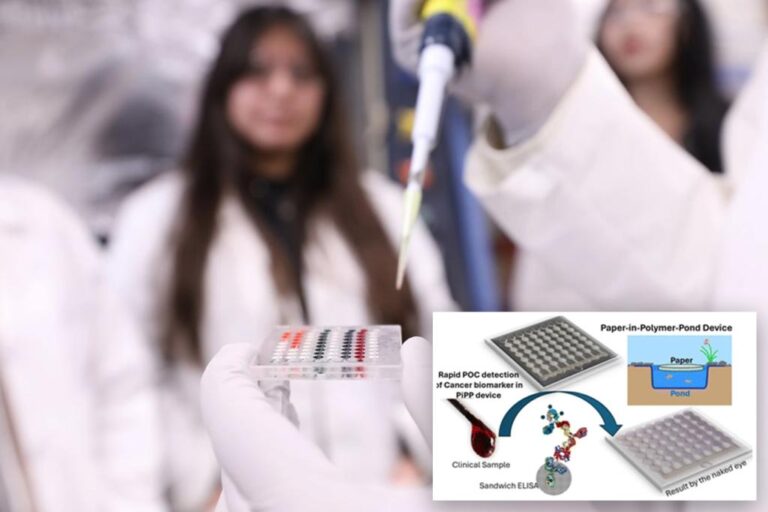 New paper cancer detector costs less than a cup of coffee

